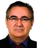 Vivaldo Dornelas Mendes