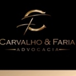 Lus Artur De Carvalho Ferreira 